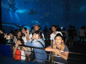 美ら海水族館①.JPG